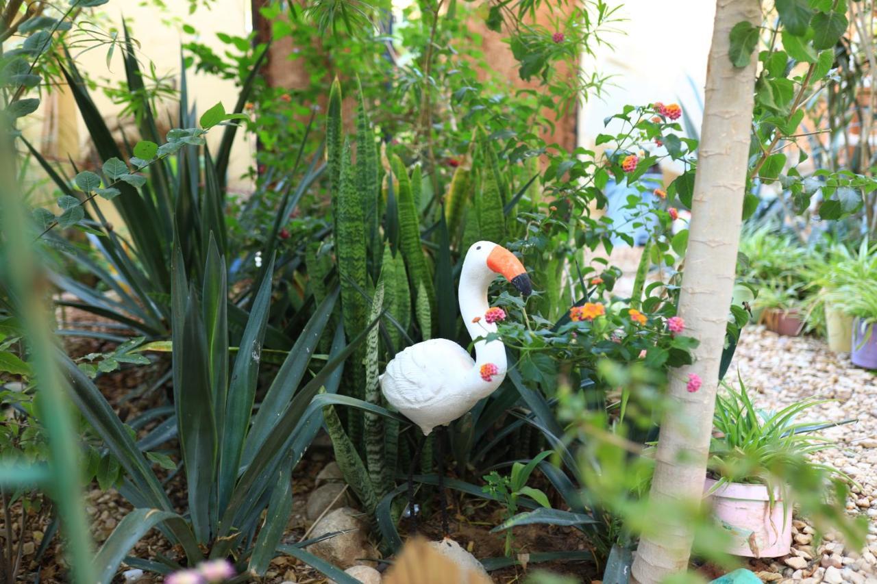Luxor Nile View Flats Apartman Kültér fotó