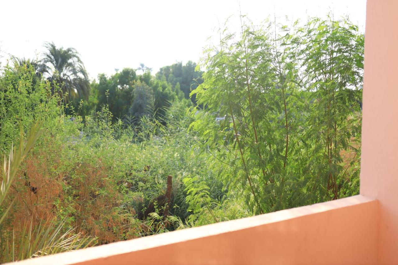Luxor Nile View Flats Apartman Kültér fotó